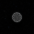 Lotus Pop Socket 1 LEFT!